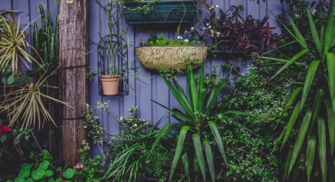 Paradijs aanleggen? Bereid je maar voor!