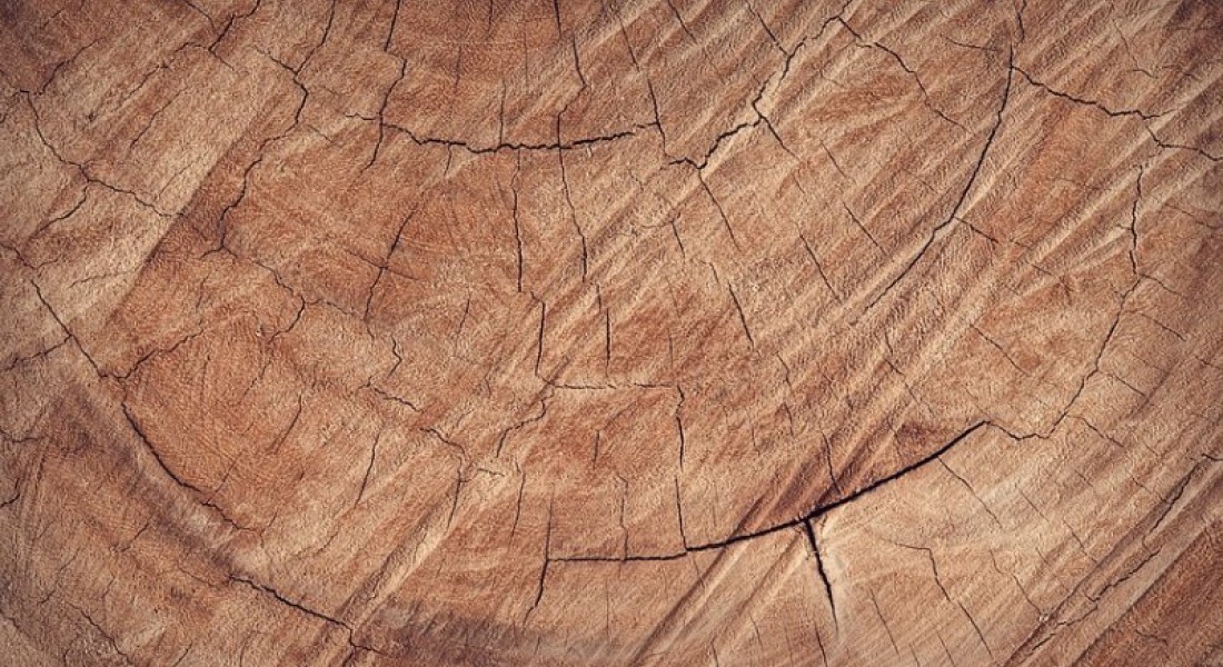 Vloertegels houtlook: sfeervol en gebruiksvriendelijk