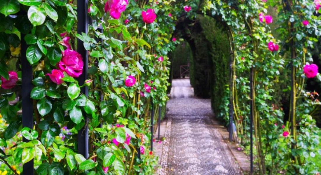 5 tips om inspiratie op te doen voor je tuin