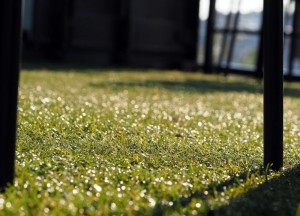 Leg je kunstgras helemaal zelf - 