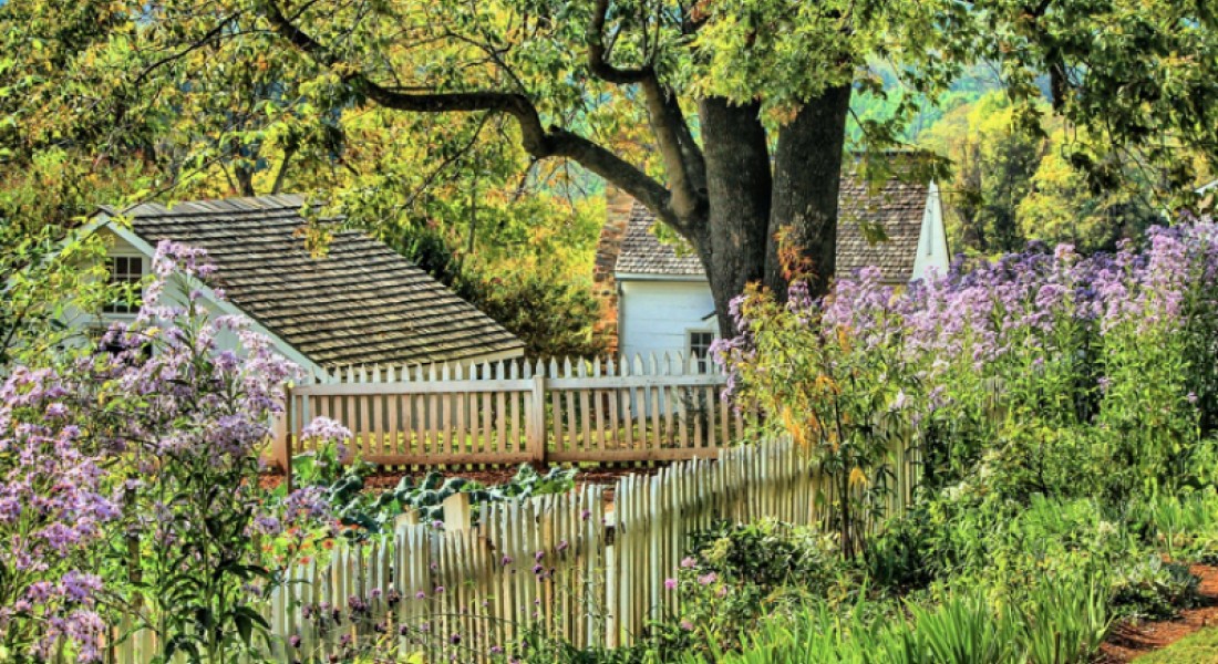 Hoe is schade aan de tuin verzekerd?