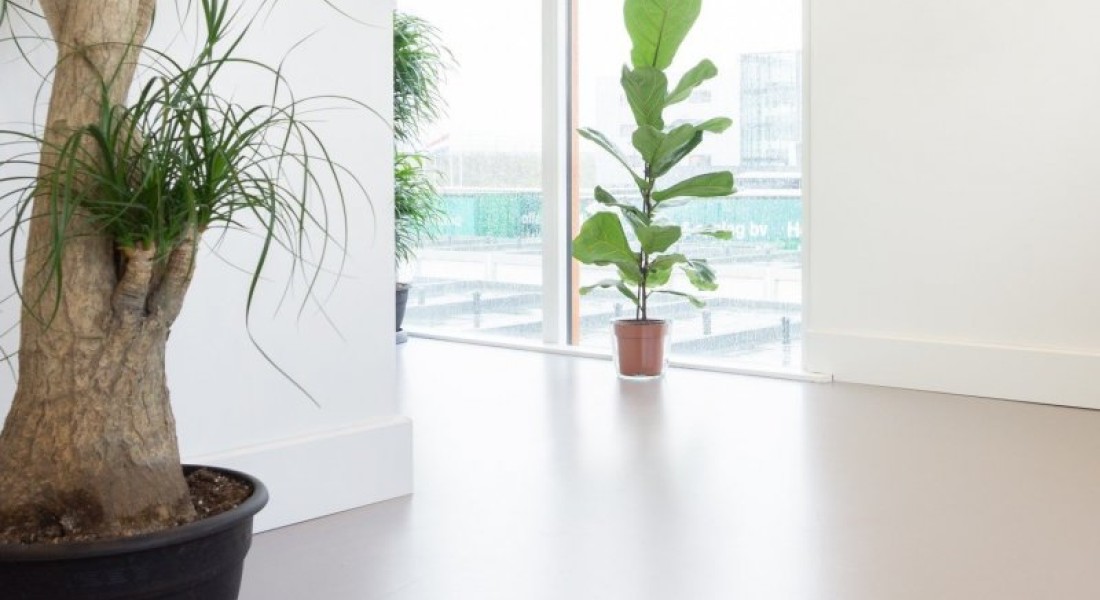 Hoe kies ik een vloer voor in de slaapkamer?