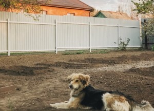 5 tips voor originele tuin omheining - 