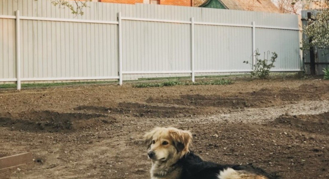 5 tips voor originele tuin omheining