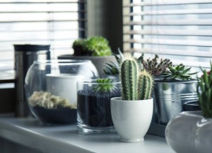 Heb je grote ramen in huis? Kies voor paneelgordijnen! - 