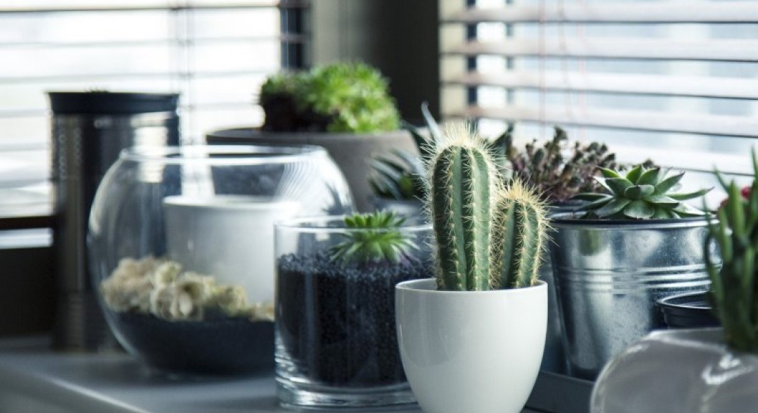 Heb je grote ramen in huis? Kies voor paneelgordijnen!