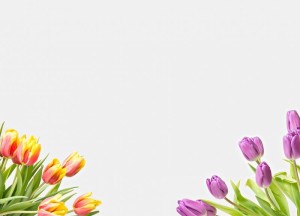 Bloemen als perfect cadeau - 