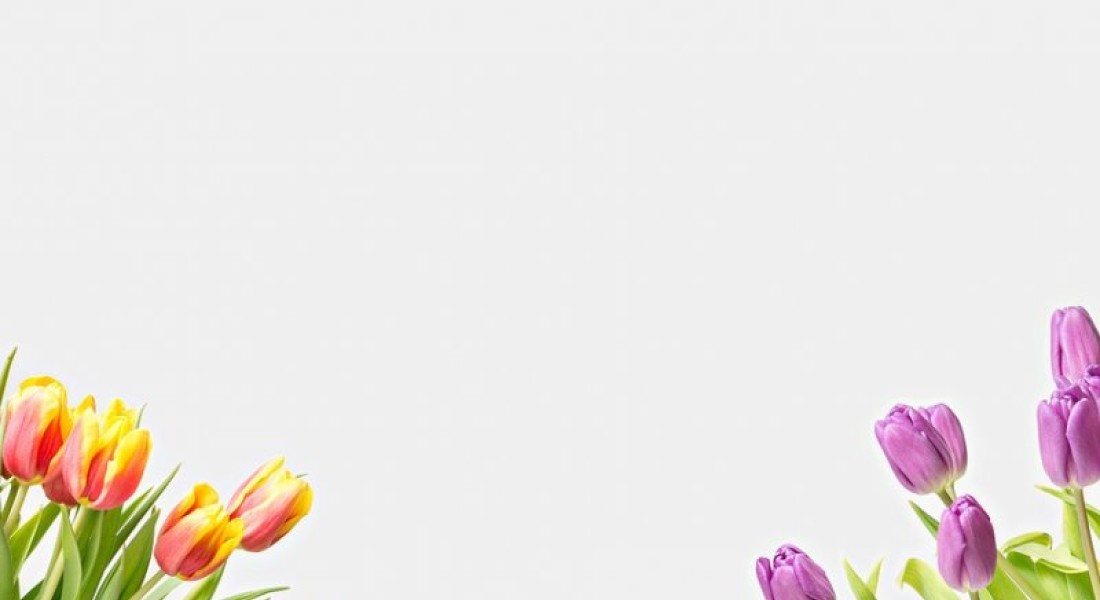 Bloemen als perfect cadeau