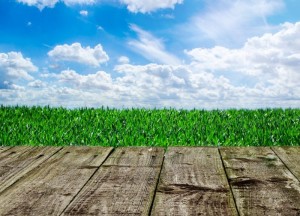 Handige tips om jouw tuin vloer te beschermen - 