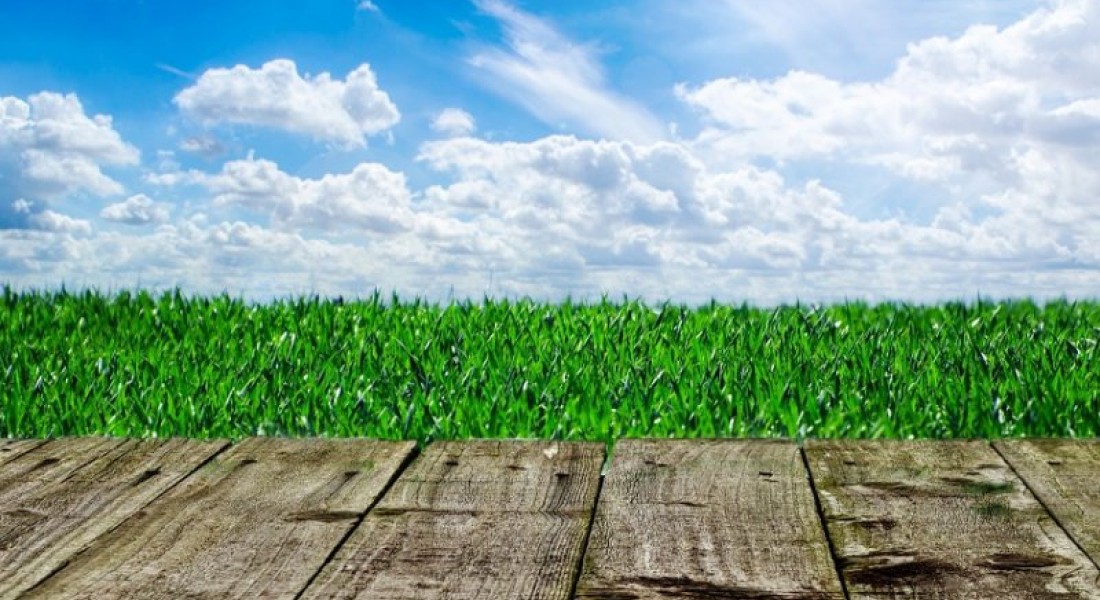 Handige tips om jouw tuin vloer te beschermen
