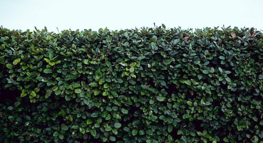 Styletips om het meeste uit je tuin te halen