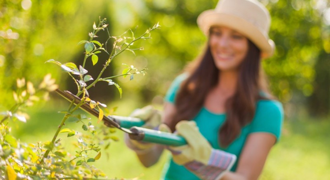 De tips om jouw tuin weer klaar te stomen voor de zomer