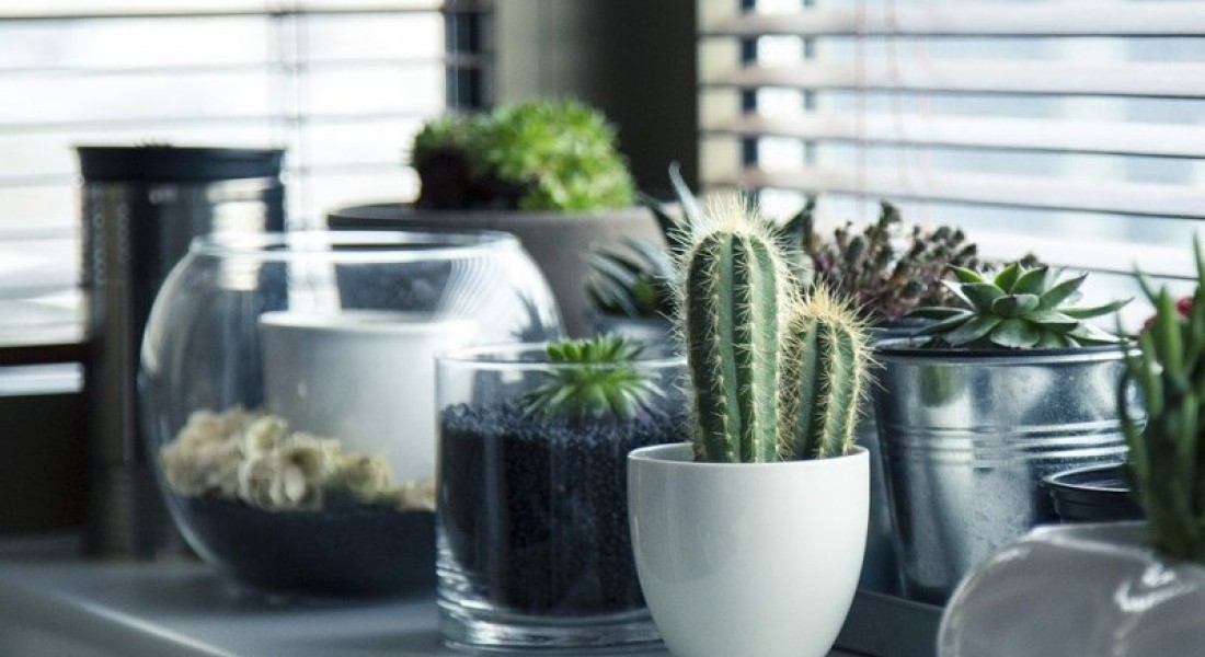 Stijlvolle raamdecoratie? Dit zijn de 5 beste opties