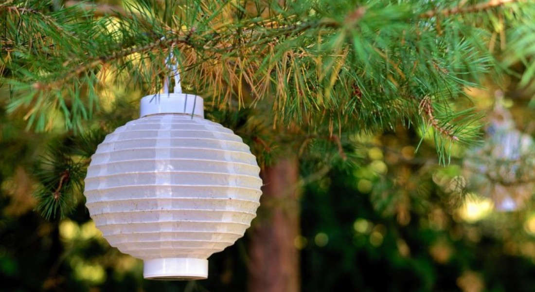 3 redenen om te kiezen voor 12 volt tuinverlichting