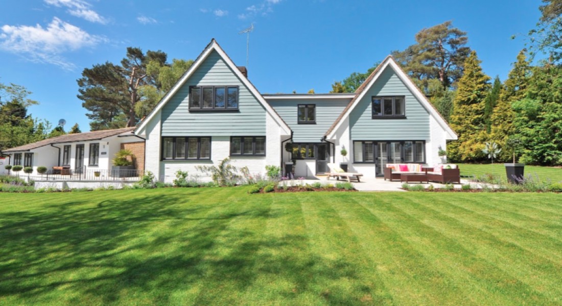 Een nieuw grasveld aanleggen, waar begin je? 