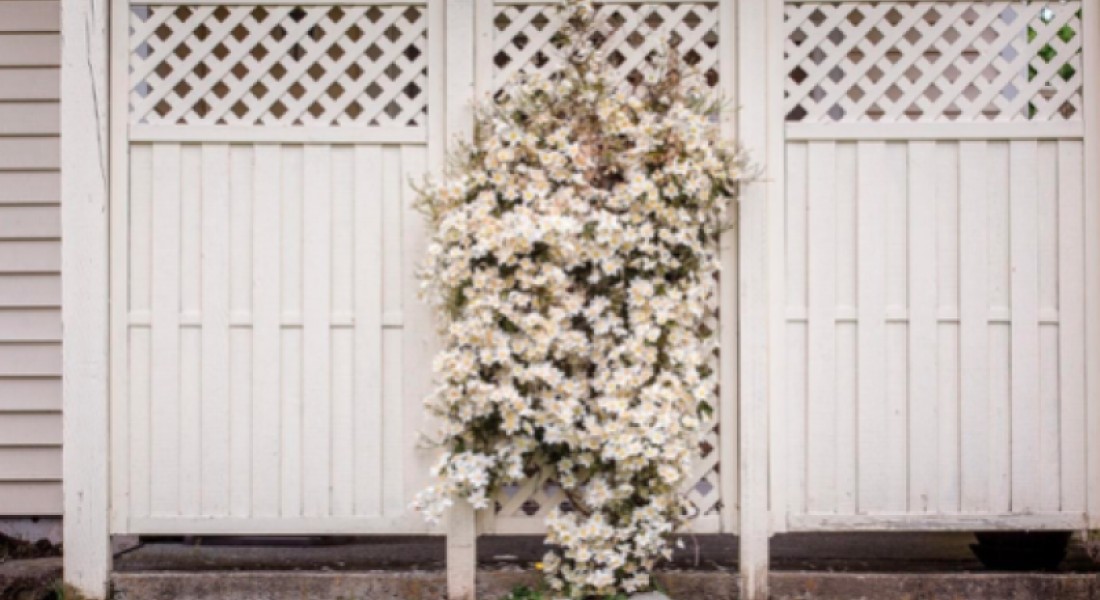 Schuttingen die je zelf kunt maken