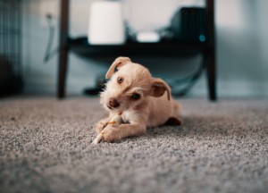 Verdwenen vloertrends - 