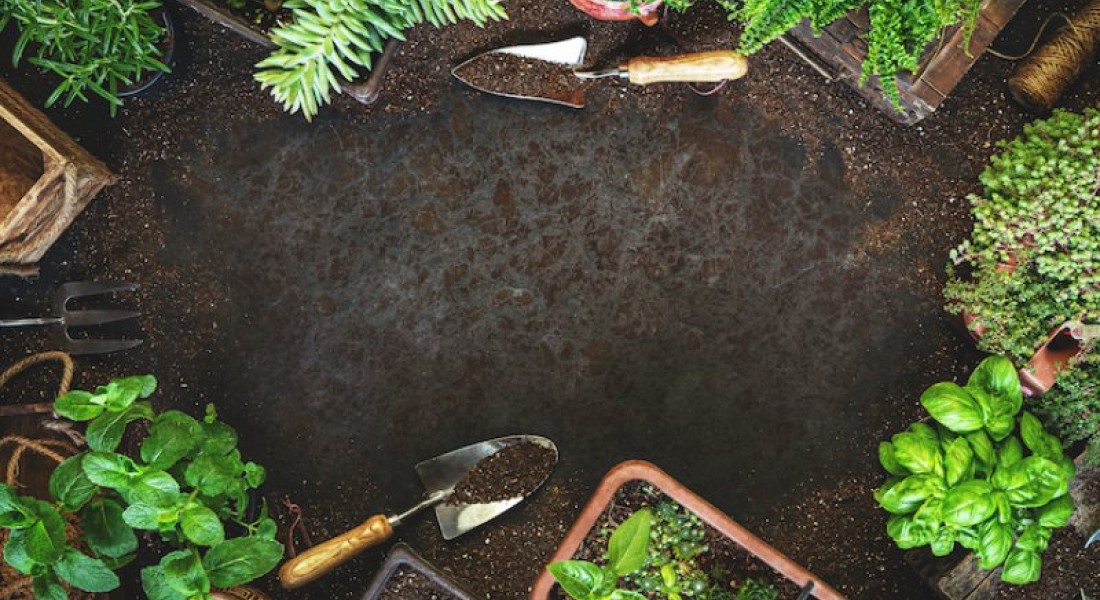 Deze tuintrends moet je toch eens overwegen