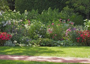 Strak gazon geeft allure aan woning en tuin - 