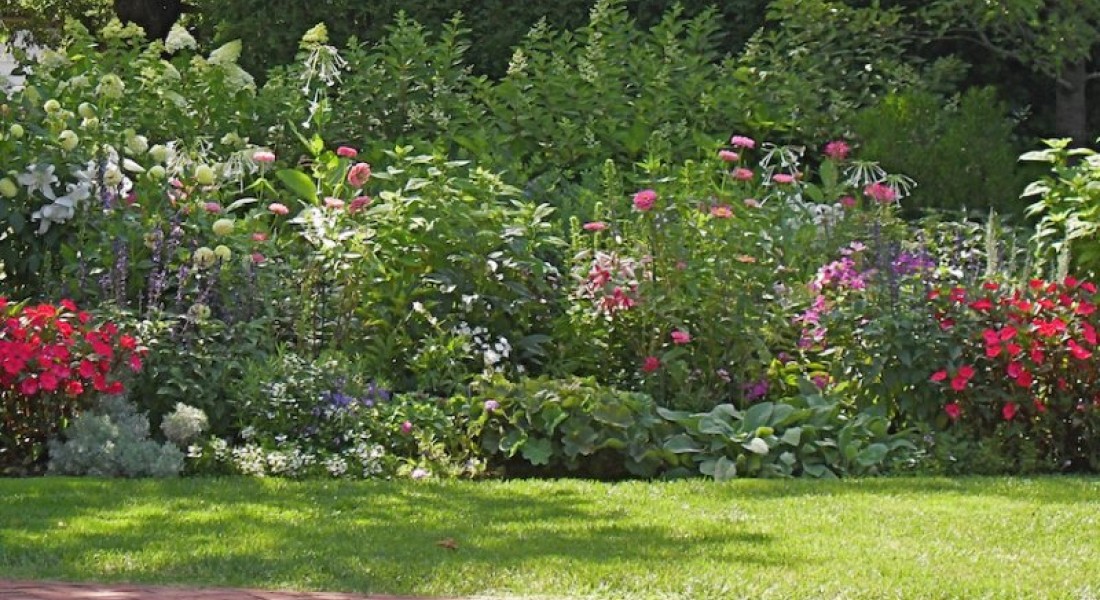 Strak gazon geeft allure aan woning en tuin