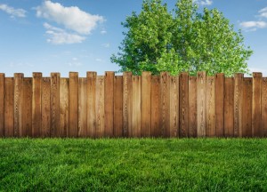 5 soorten tuinschuttingen - 