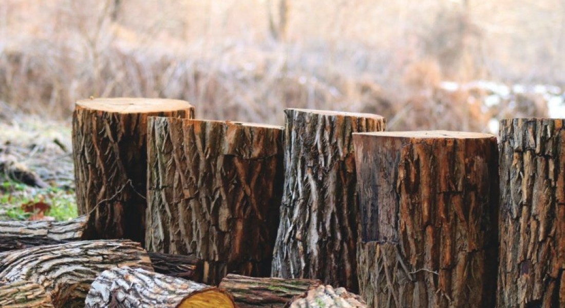 Een duurzame tuin? Gebruik meer hout!