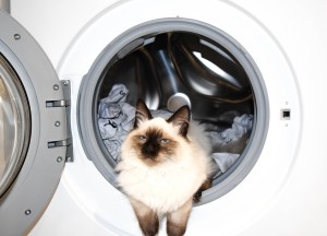Wel of niet je wasmachine in de badkamer zetten - 