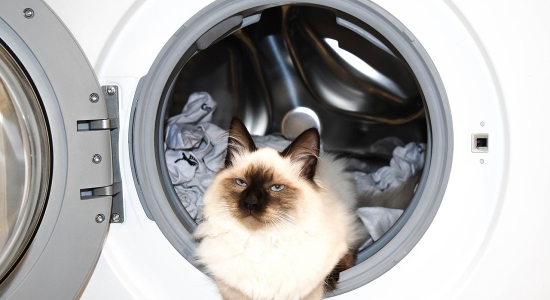 Wel of niet je wasmachine in de badkamer zetten