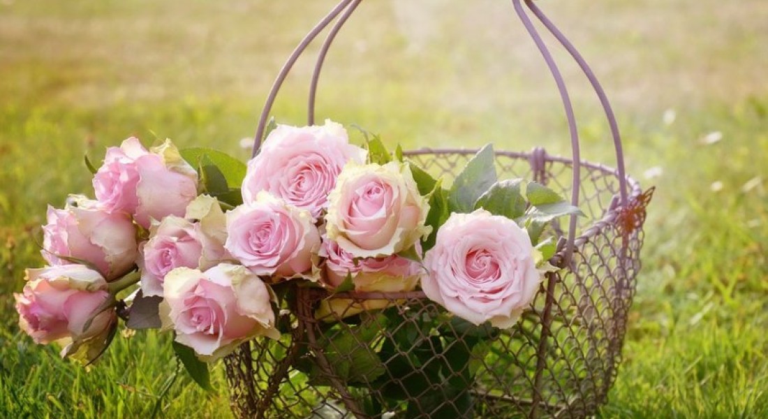 Eerste hulp voor leuke cadeautjes