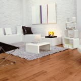 Foto 0 - comfort Parket en haarden uit OSS