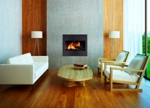 Houtgestookte cv-haarden met strak design van DDG - DDG CV haarden