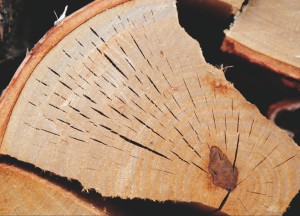 Alles over haardhout - 