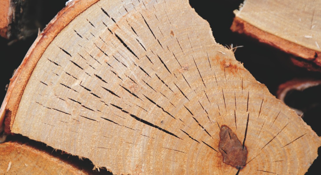 Alles over haardhout