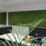 Foto 0 - Moswens uit Asten