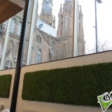 Foto 0 - Moswens uit Asten