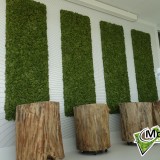 Foto 0 - Moswens uit Asten