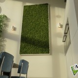 Foto 0 - Moswens uit Asten