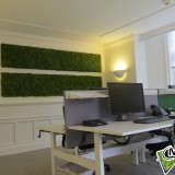 Foto 0 - Moswens uit Asten