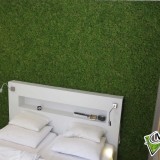 Foto 0 - Moswens uit Asten