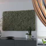 Foto 0 - Moswens uit Asten