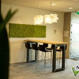 Foto 0 - Moswens uit Asten