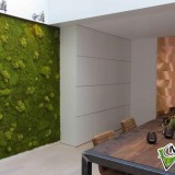 Foto 0 - Moswens uit Asten