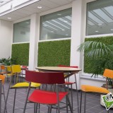 Foto 0 - Moswens uit Asten