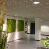 Foto 0 - Moswens uit Asten