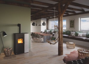 Pelletkachels: de energiezuinige verwarmers in huis - 