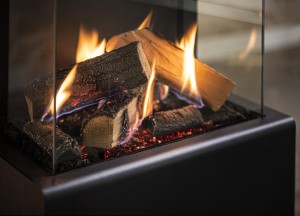 Unieke vrijstaande gashaarden met eindeloos veel mogelijkheden - Trimline Fires