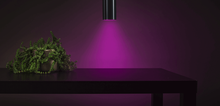 Smart home verlichting | Loxone