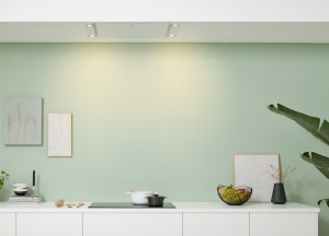 Witte plafond afzuigkap | Pelgrim