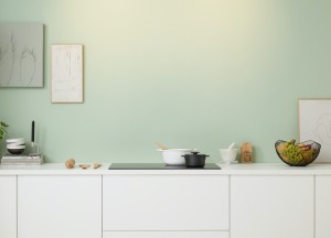 Witte plafond afzuigkap | Pelgrim