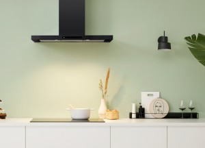 Matzwarte afzuigkap | Pelgrim - Pelgrim